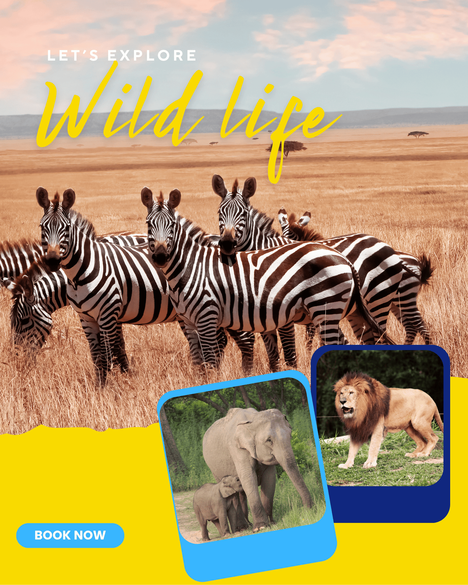 Blue and White Minimalist Maldives Tour and Travel Agency Instagram Post (1)